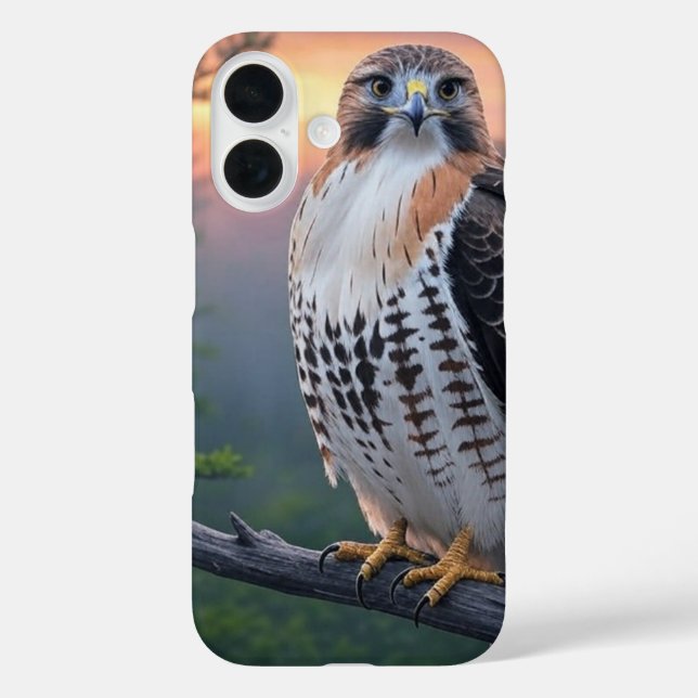 Hawk bei Sonnenuntergang iPhone 16 Hülle (Rückseite)