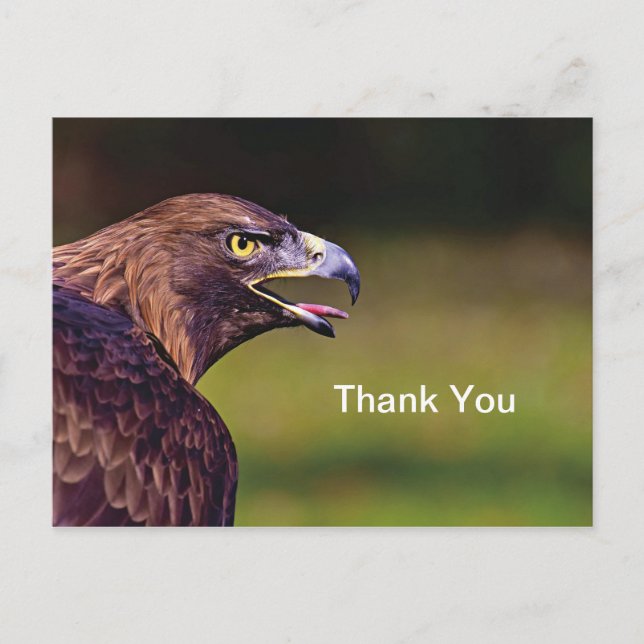 Hawk Danke Postkarte (Vorderseite)
