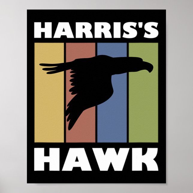 Hawk Falcon Hunter Poster (Vorne)