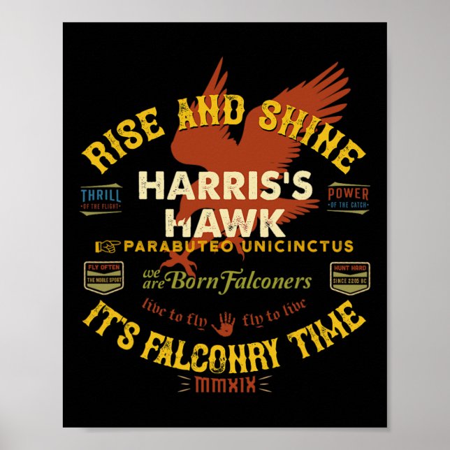 Hawk Falconry Design Harris Hawk Falconry Supplies Poster (Vorne)