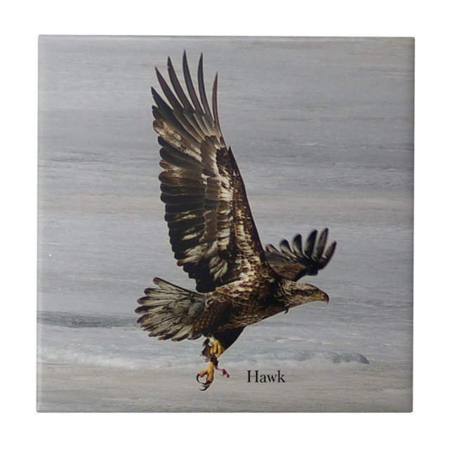 Hawk Fliese (Vorderseite)
