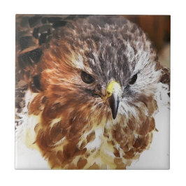 HAWK FLIESE