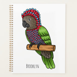 Hawk headed parrot bird cartoon illustration planer