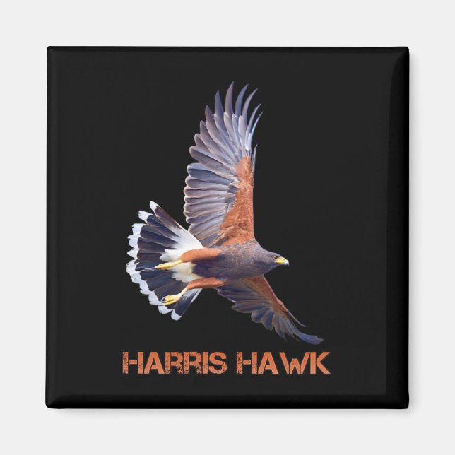Hawk Kamala Harris für Präsident Magnet (Vorne)
