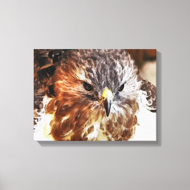 HAWK LEINWANDDRUCK (Vorderseite)