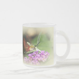 Hawk Moth löschen - Hemaris thysbe Mattglastasse