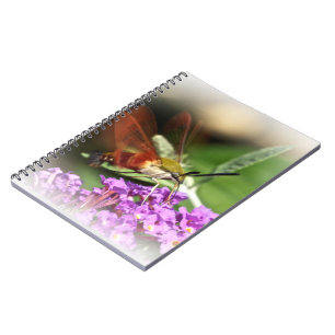 Hawk Moth löschen - Hemaris thysbe Notizblock