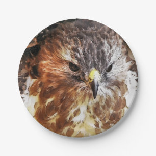 HAWK PAPPTELLER