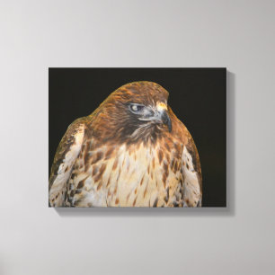 Hawk Power Animal Leinwanddruck