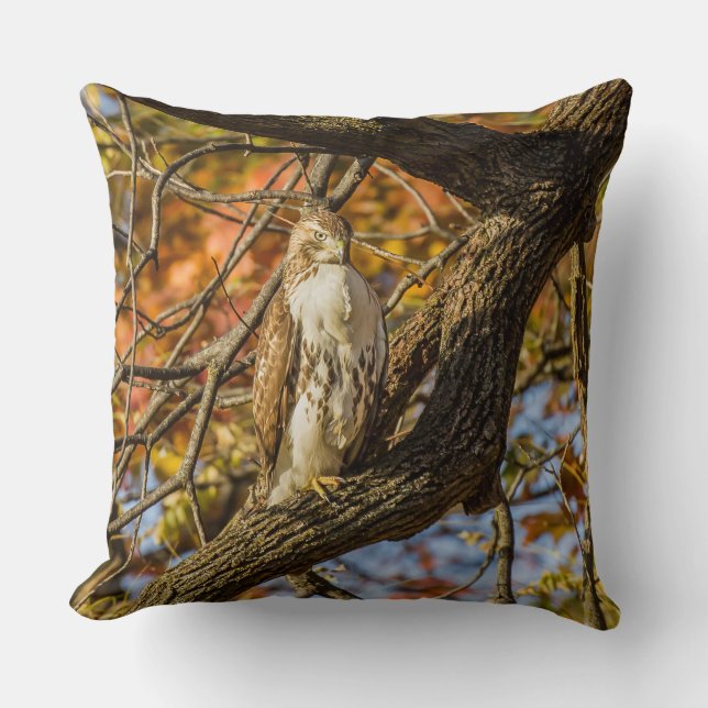 Hawk und Fall Foliage Kissen (Vorderseite)