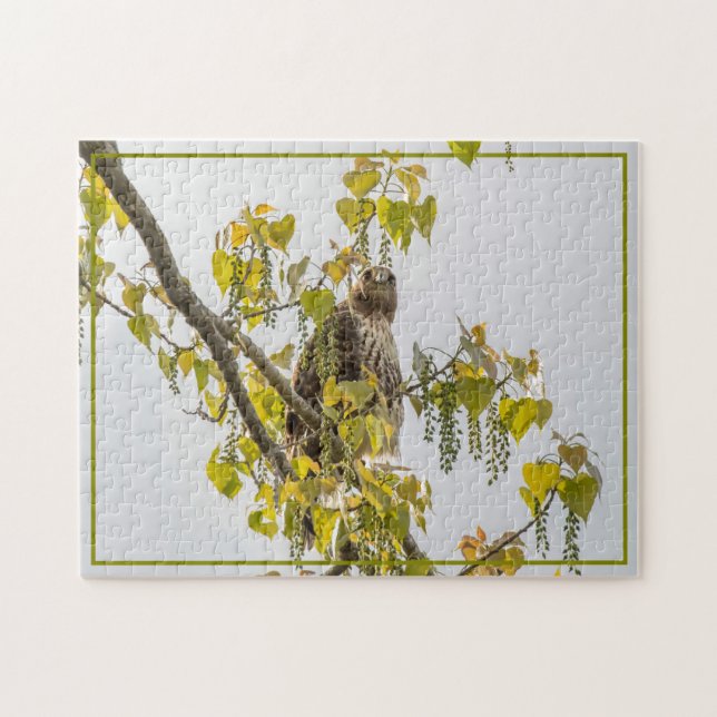 Hawk und Herz (Horizontal)