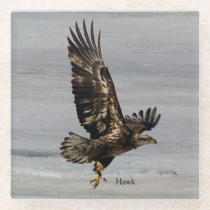 Hawk-Untersetzer Glasuntersetzer