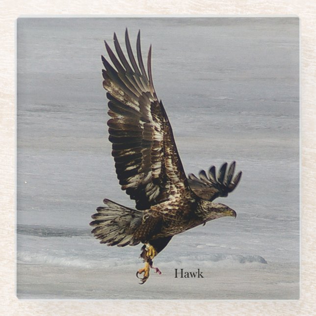 Hawk-Untersetzer Glasuntersetzer (Vorderseite)