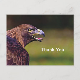 Hawk Vielen Dank Postcard Postkarte