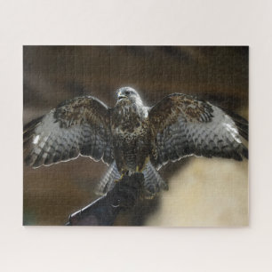 "Hawk with Wings Out Exmoore & Wildlife Sanctuary"