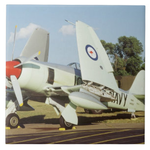 Hawker Sea Fury bei CAF, Minnesota Wing, auf der Fliese