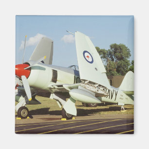 Hawker Sea Fury bei CAF, Minnesota Wing, auf der Magnet