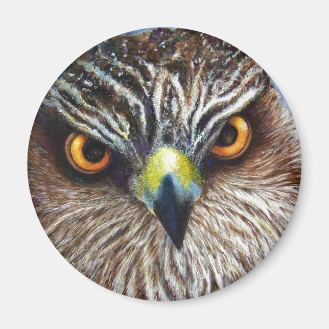 Hawkeyes Magnet (Vorne)