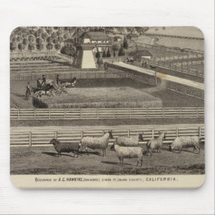 Hawkins, Mayes Residenzen Mousepad