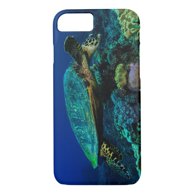Hawksbill Meeresschildkröte auf dem Great Barrier Case-Mate iPhone Hülle (Rückseite)