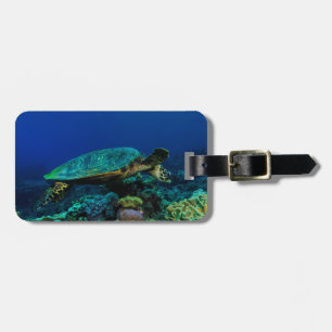 Hawksbill Meeresschildkröte-Gepäckanhänger Gepäckanhänger