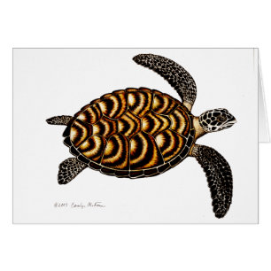 Hawksbill Meeresschildkröte-Karte