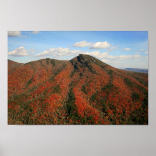 Hawksbill Mountain im Herbst, North Carolina Poster