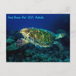 Hawksbill Sea Turtle Great Barrier Reef Coral Sea Postkarte