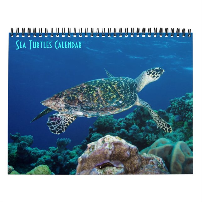 Hawksbill Sea Turtle Great Barrier Reef Korallenme Kalender (Titelbild)