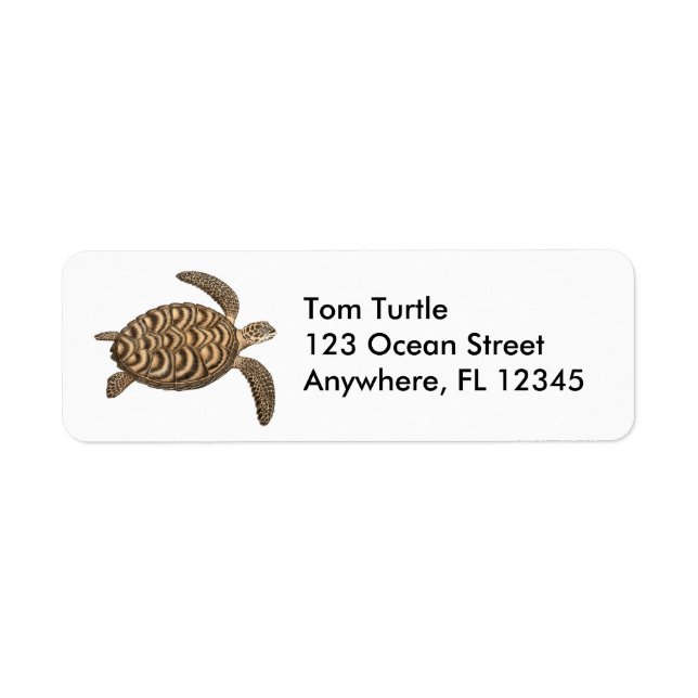 Hawksbill Sea Turtle Label (Vorne)