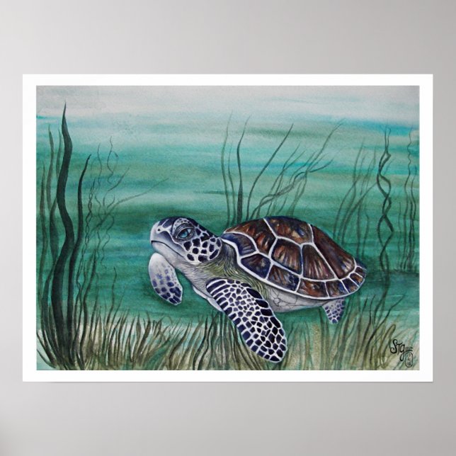 Hawksbill Sea Turtle Poster (Vorne)