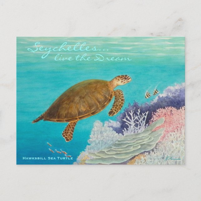 Hawksbill Sea Turtle Postkarte (Vorderseite)