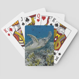 Hawksbill Sea Turtle Swimming Spielkarten