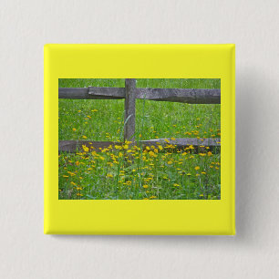 Hawkweed beim Split-Bahnzaun-Matching-Elemente Button