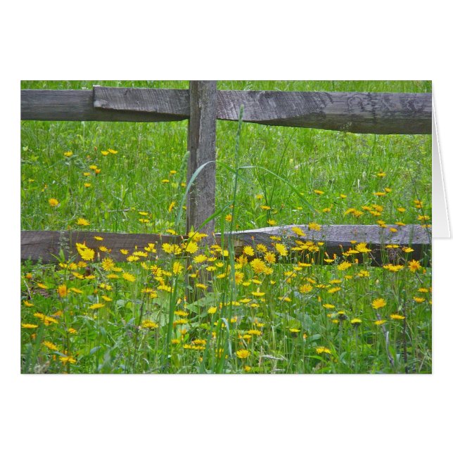 Hawkwei à Split Rail Fence éléments correspondants (Devant horizontal)