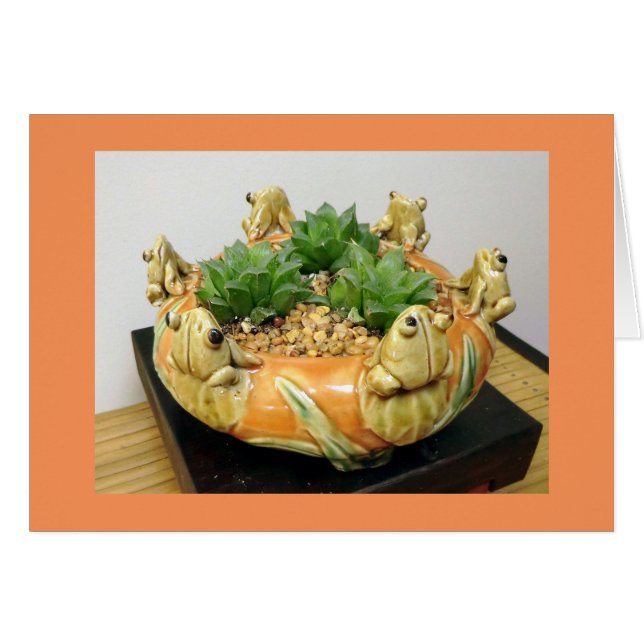 Haworthia mit Fröschen von Sukkulenten Designs (Vorderseite (Horizontal))