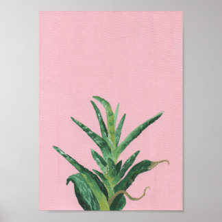 Haworthia Sukkulente Acrylmalerei Poster