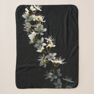 Hawthorn-Blume sbcnm Sherpadecke