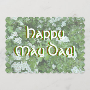 Hawthorn en fleurs Bonne invitation au Mai