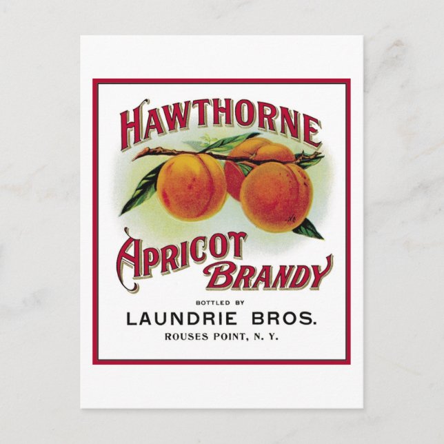 Hawthorne Apricot Brandy Postkarte (Vorderseite)