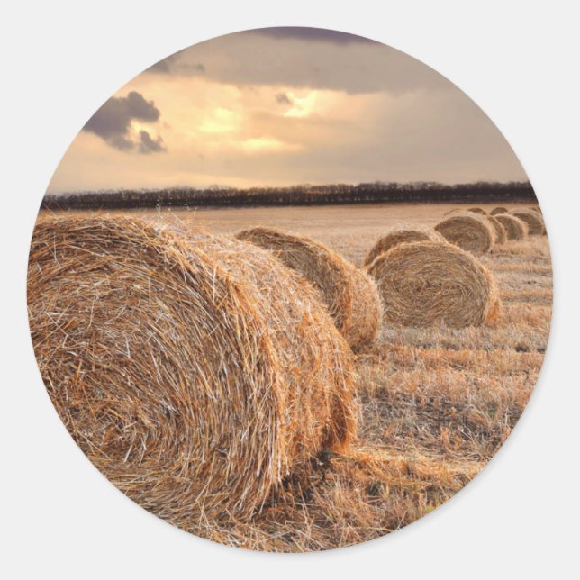 Hay Bail Bauer Ag Runder Aufkleber (Vorderseite)