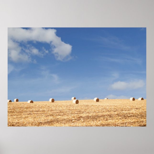 Hay Bales auf dem Feld Poster (Vorne)