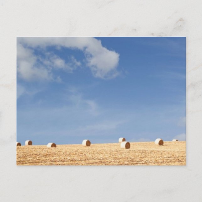 Hay Bales auf dem Feld Postkarte (Vorderseite)