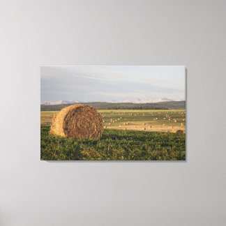 Hay Bales auf einem Feld mit Bergen bei Sonnenaufg Leinwanddruck