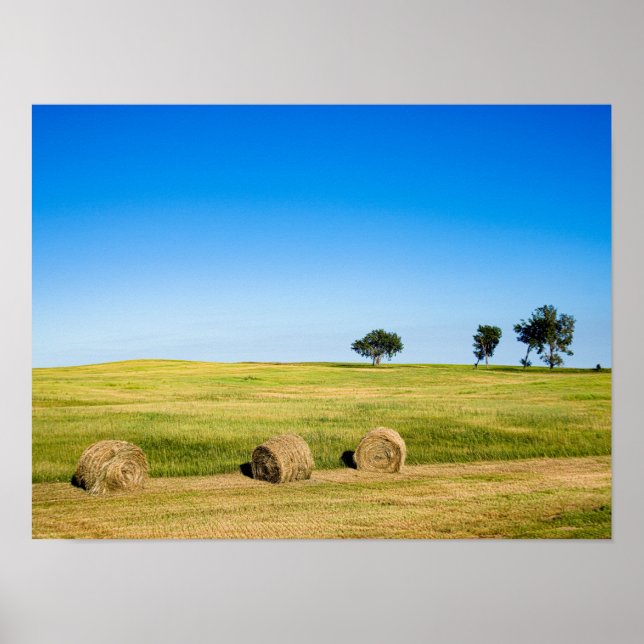 Hay Bales in Nebraska Poster (Vorne)