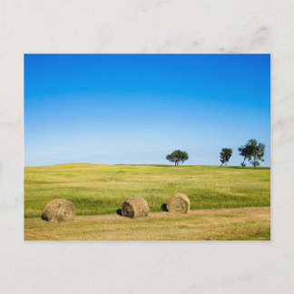Hay Bales in Nebraska Postkarte