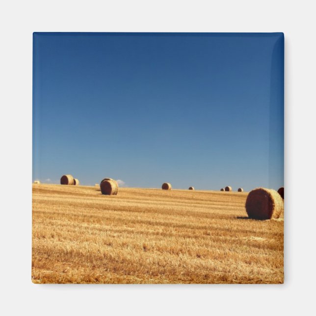 Hay Bales Magnet (Vorne)