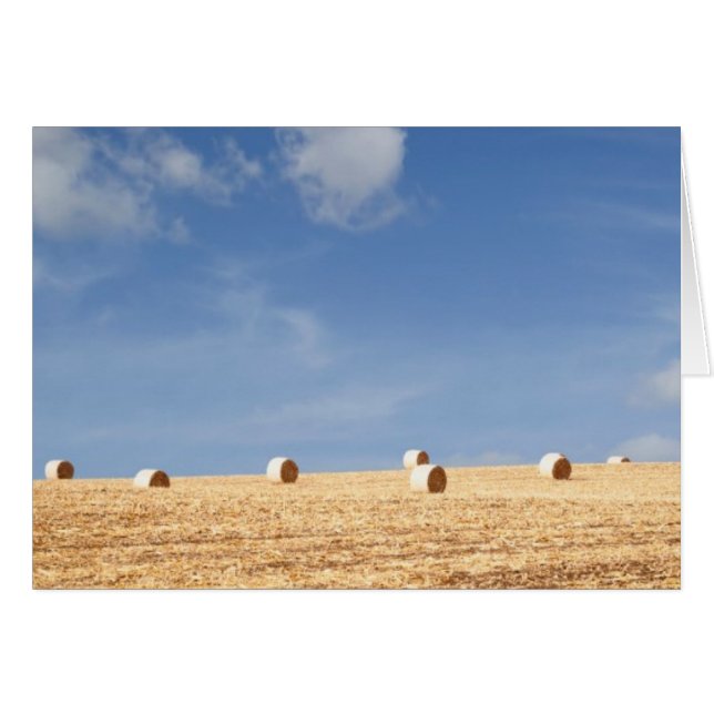 Hay Bales on Field (Devant Horizontal)