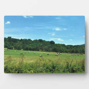 Hay Bales, Wytheville, Virginia Fotoplatte