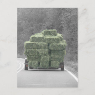 Hay da! postkarte